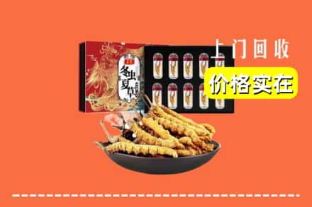 西安市雁塔回收冬虫夏草