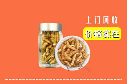 西安市雁塔回收散虫草