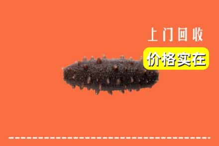 西安市雁塔回收海参