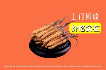 西安市雁塔回收冬虫夏草